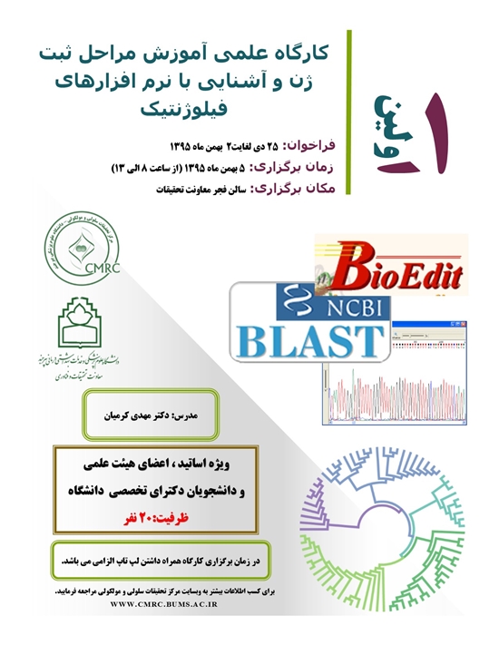 معاونت تحقیقات و فنآوری 